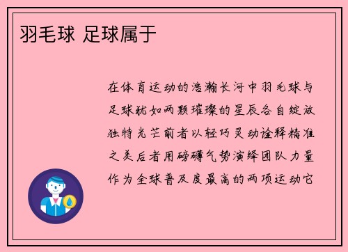 羽毛球 足球属于