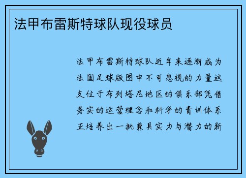 法甲布雷斯特球队现役球员